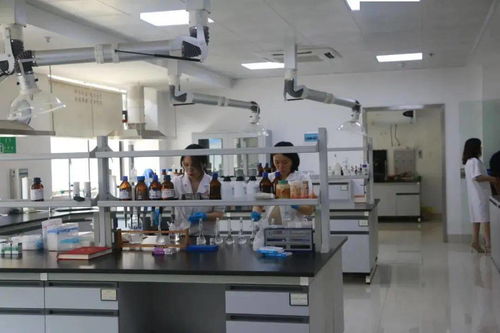 湖南科技宣传周暨衡阳食品药品检验检测实验室公众开放日 网络技术服务助推市民科普体验