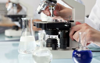 大连新图闻科技 专业网站建设与制作服务指南